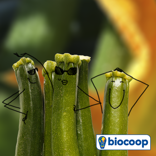 Le légume du mois de juillet : la courgette Le légume du mois de juillet : la courgette