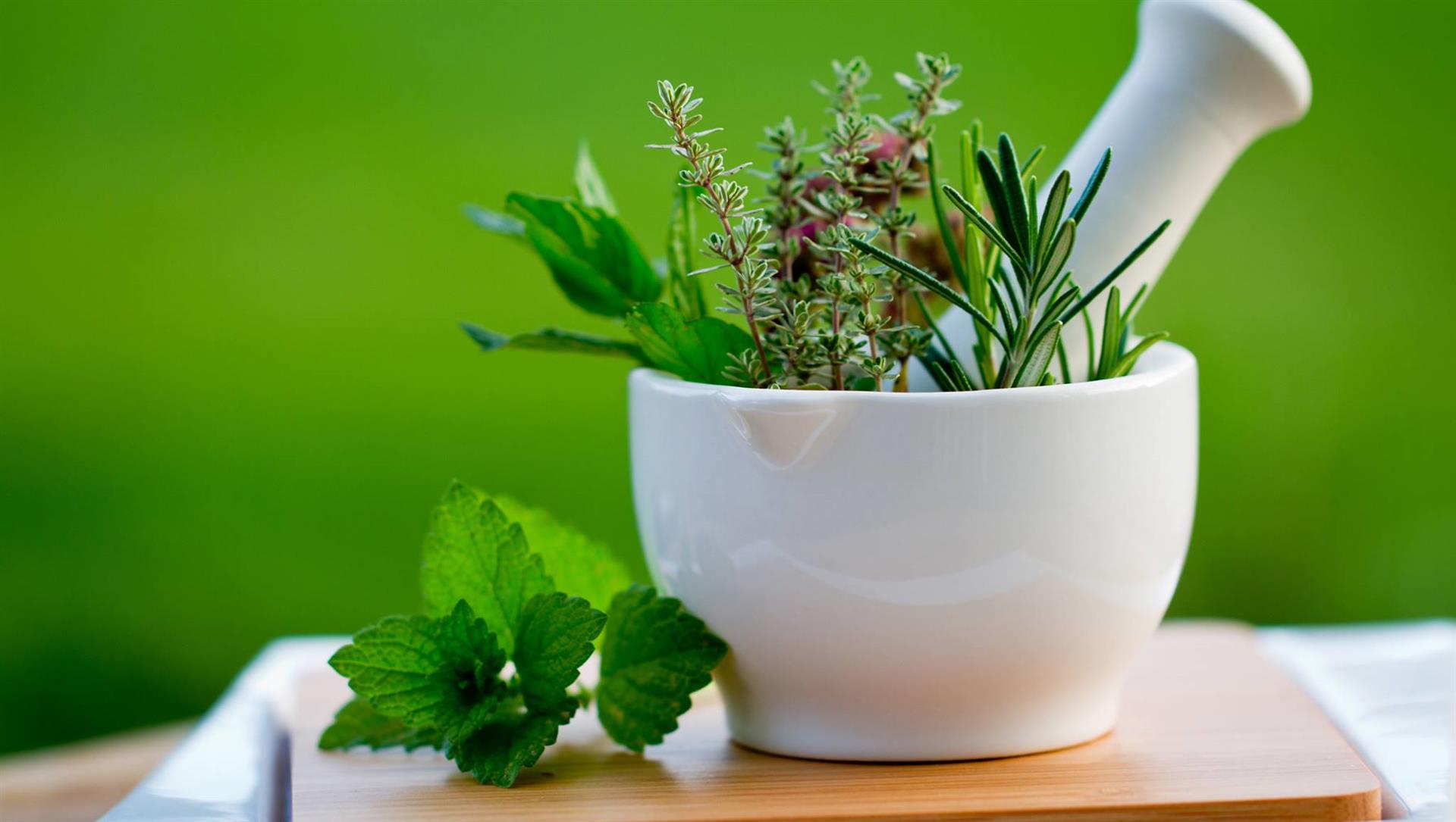 Rendez-vous naturopathie mardi 11 décembre Rendez-vous naturopathie mardi 11 décembre